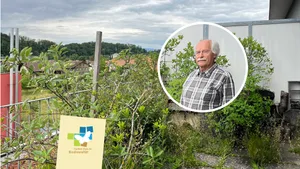 Markus Graf-Meyer hat seine Terrasse in ein grünes Naturparadies für Pflanzen, Insekten und Vögel verwandelt.