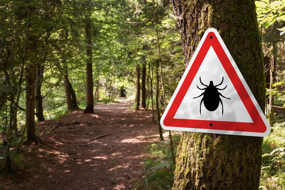 shutterstock_2113458593 Zeckenschutz für Vierbeiner: Das rät die Tierärztin