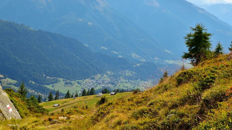 trail-pixabay.jpg