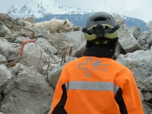 Klein, aber oho – das trifft auf «Woody» ganz besonders zu,...