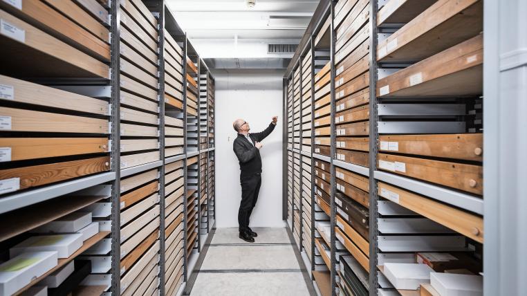 Die Regale sind voll im Keller des Naturhistorischen Museums Bern. Bis unter die Decke stapeln sich die Holzkästen, in denen Konservator Hannes Baur Käfer, Schmetterlinge oder Wespen aufbewahrt.&nbsp;