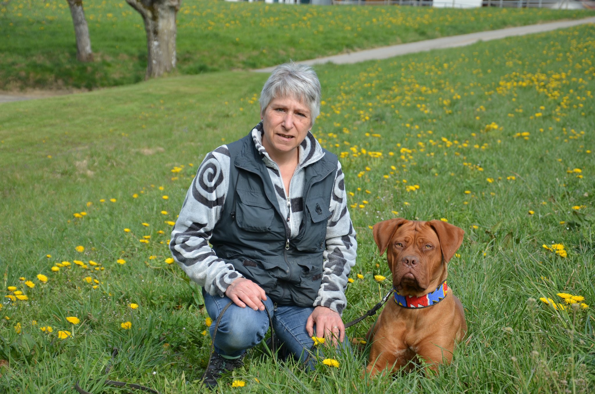 Eine Tierheimleiterin gibt Einblicke in ihren Berufsalltag