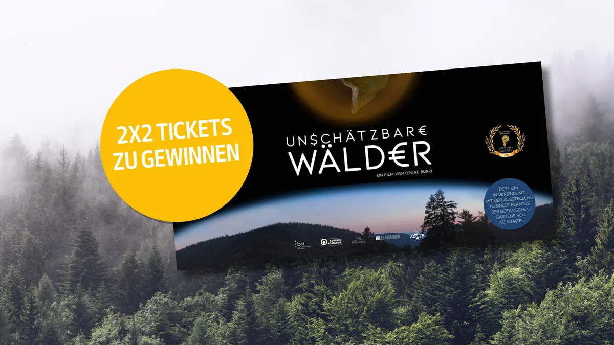Bild_-_Artikelseite_fu__r_NL_Wettbewerb__1_ «Unschätzbare Wälder»: Kinostart in der Deutschschweiz
