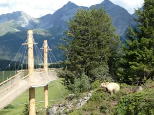 Die Besucher können kommen: DasBärenschutzzentrum bei Arosa im bündnerischen Schanfigg hat eine neue Attraktion gebaut: