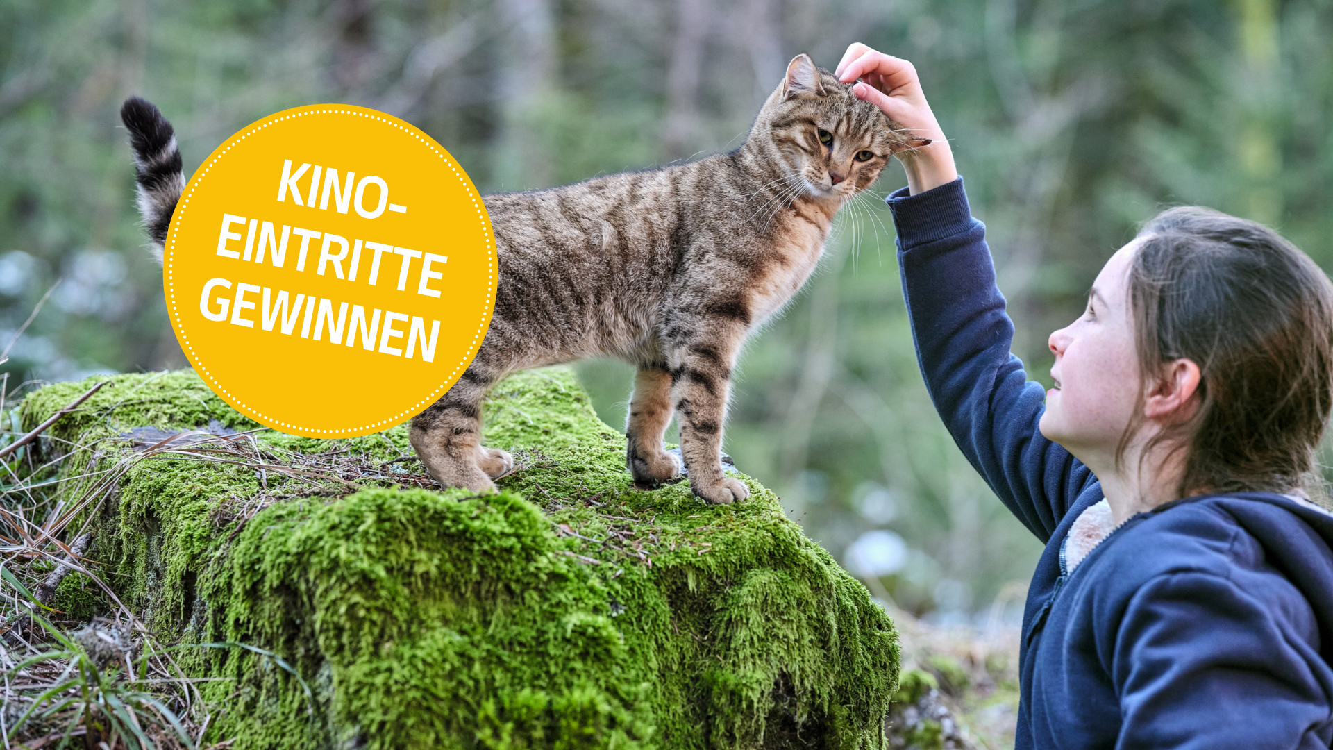 Wir verlosen 3x2 Tickets für den Film «Lou - Abenteuer auf Samtpfoten»