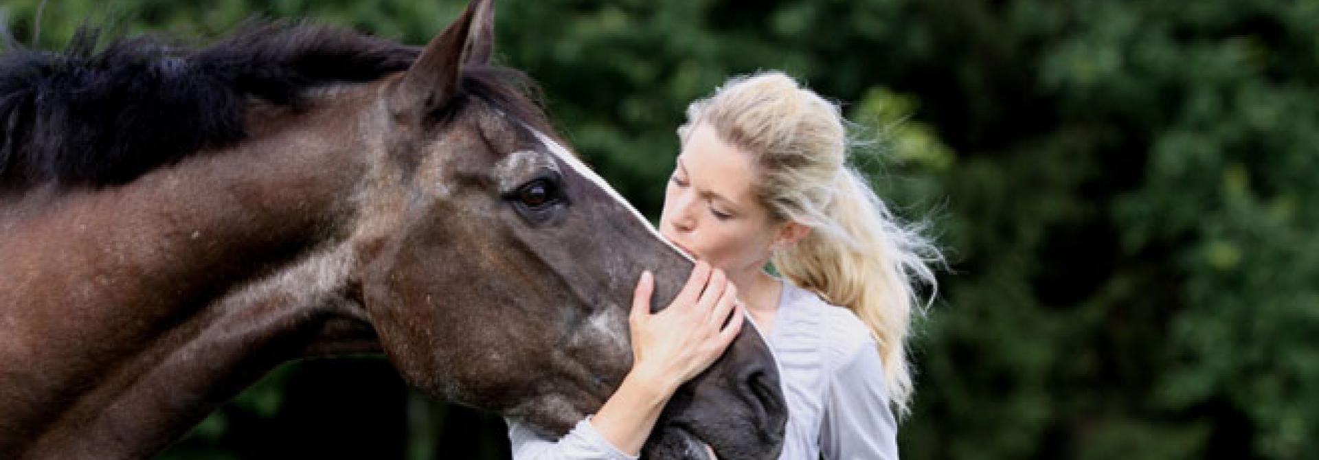 altes-pferd.jpg