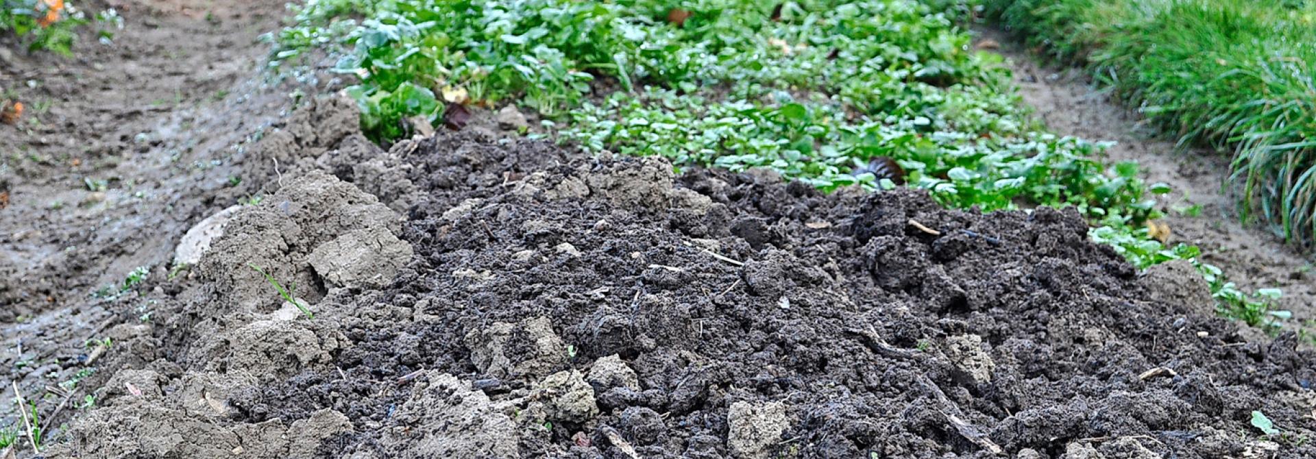 gartenboden-lockern.jpg