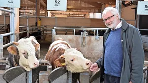 Die beiden Munis reagieren neugierig und zutraulich auf den ETH-Wissenschaftler Michael Kreuzer.