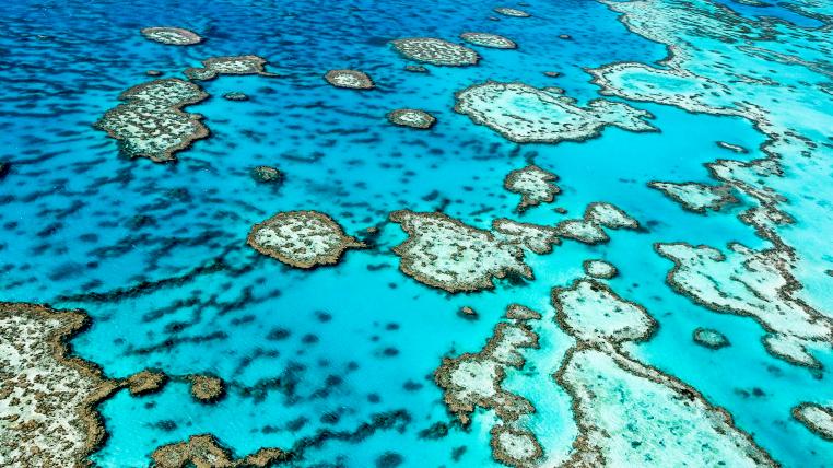 Great Barrier Reef von oben