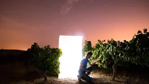 Mit ein wenig Glück gibts Unterstützung:Auch Winzer können auf der Crowdfunding-Plattform «Yes We Farm» ihre Projekte veröffentlichen.