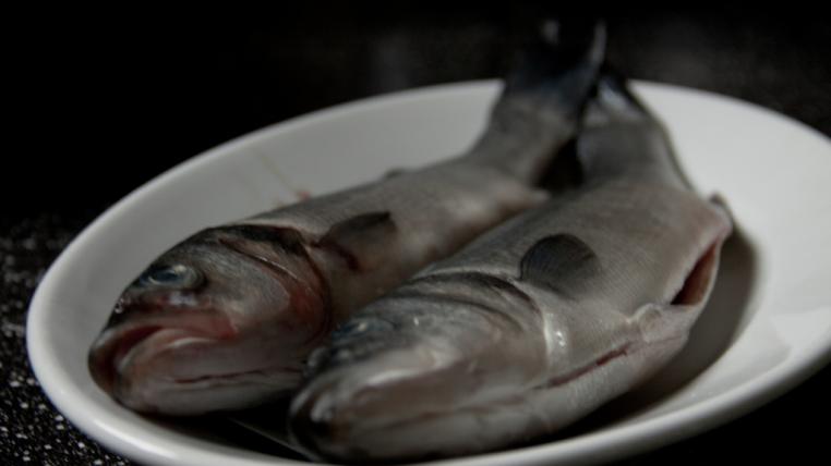 fischteller.jpg