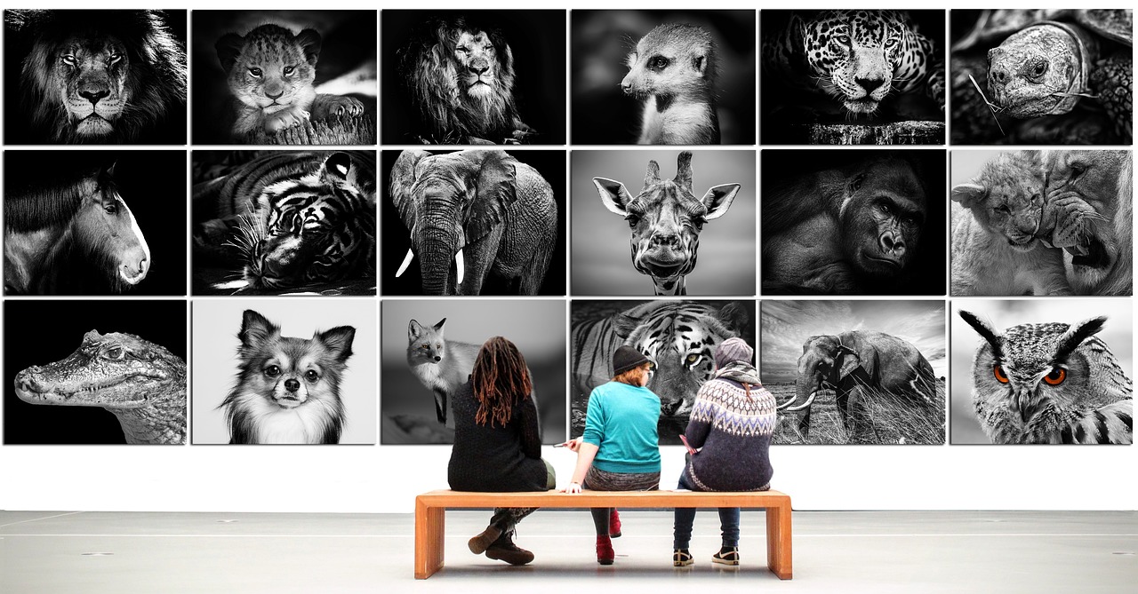 Gratis ins Museum
