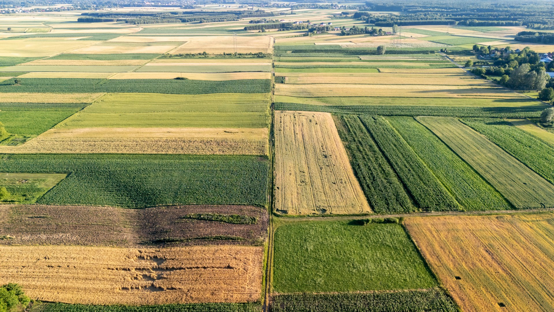 Wie frühe Landwirtschaft die Artenvielfalt förderte