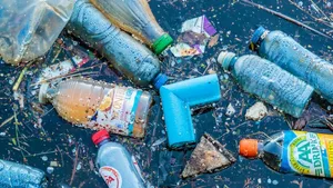 Plastik in Flüssen und Seen: Auch in der Schweiz ein Umweltproblem.
