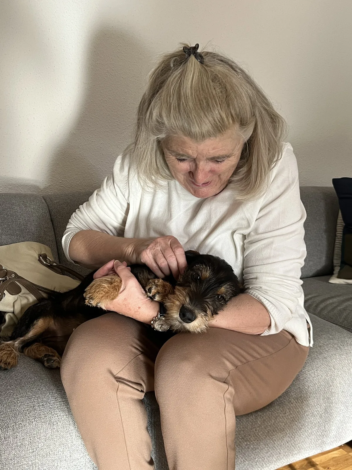 IMG_8281 Der erste Tag beim Hundegrossmami