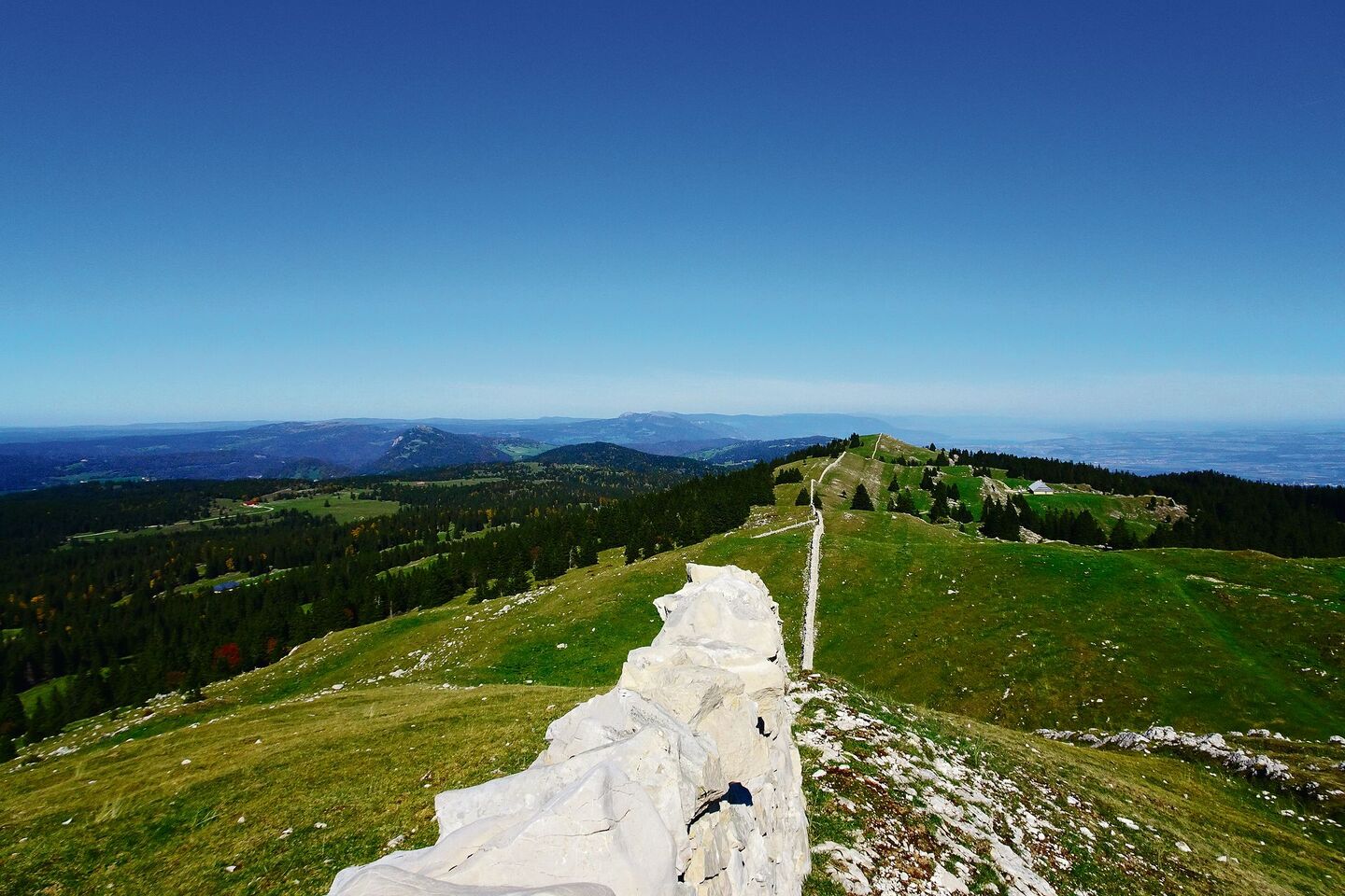 Glitzernde Seen, Weiten und dunkle Wälder vor der Haustüre: Auf einer Wanderung im Waadtländer Jura ergeben sich fesselnde Ausblicke; faszinierende Tiere und spannende Pflanzen säumen den Weg.