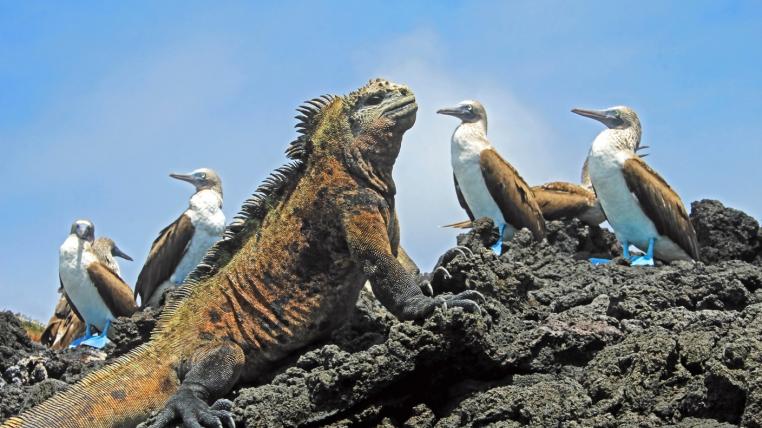 galapagos-reservat-vergroessert.jpg