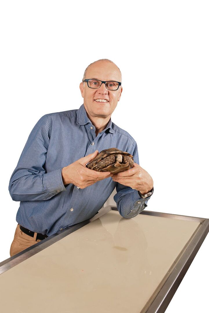 Der auf Exoten spezialisierte Veterinär Dr. Peter Sandmeier mit einer Hinterindischen Landschildkröte.