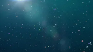 Wind kann Mikroplastik über weite Strecken bis ins Meer tragen. Besonders betroffen ist die Artkis.