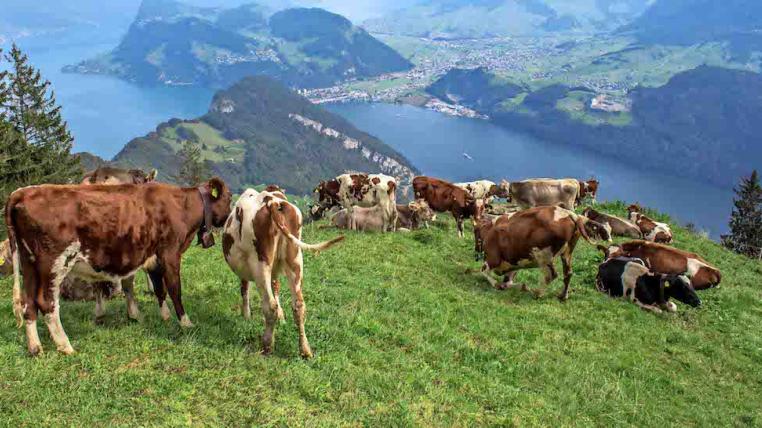 Luzern.jpg