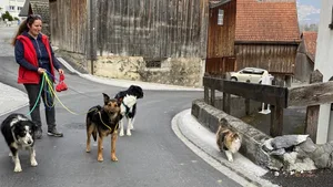 Luzia Candreia mit Border Collie Sidi, Schäferhund-Mix Bugs, Border-Collie-Mix Shahruk und Katzendame Pepper (von links).