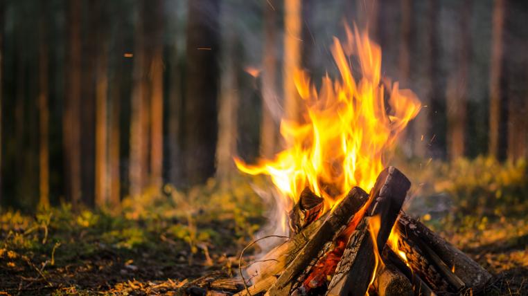 Feuerstelle im Wald