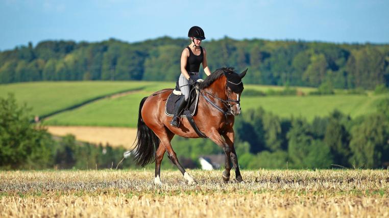 Beim Reiten richtig Gas geben und bremsen