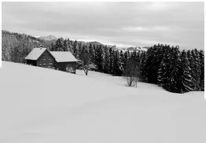 Einsamer Hof nahe der Grenze zu Appenzell Innerrhoden. Über dem Gebäude thront der Säntis.