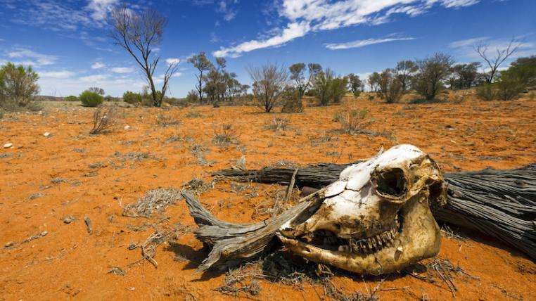 Australien.jpg