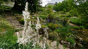 Alpinum im Botanischen Garten Bern: Der Geist Humboldts ist auch hier zu spüren.