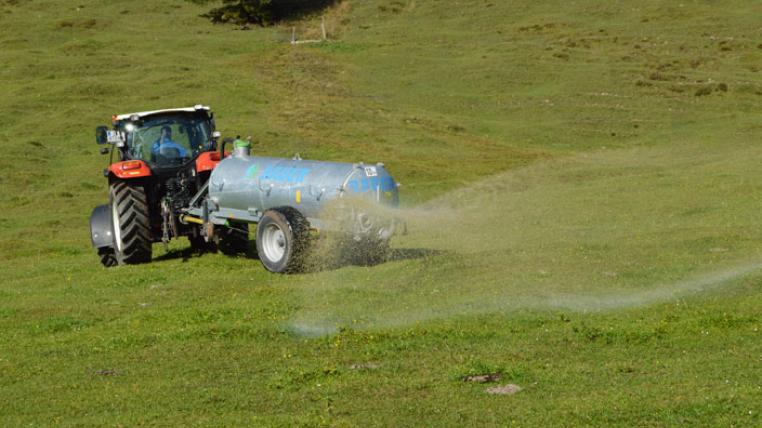 Guelle-Wald1siedel-bysa-s.jpg