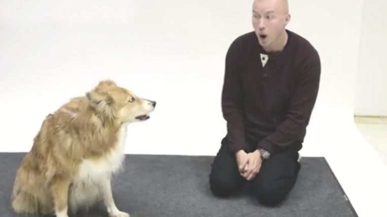 hundegebell.jpg