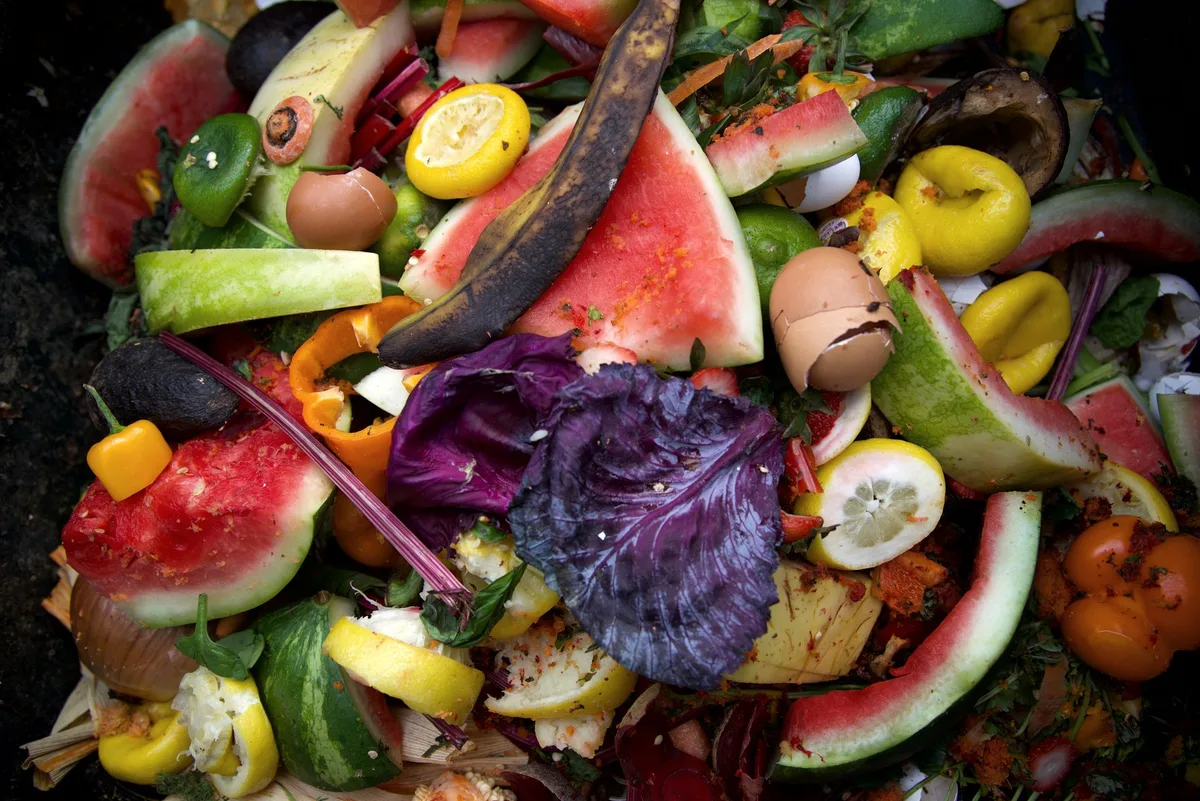 shutterstock_1062876239 Food Waste im Haushalt reduzieren – eine Expertin zeigt wie