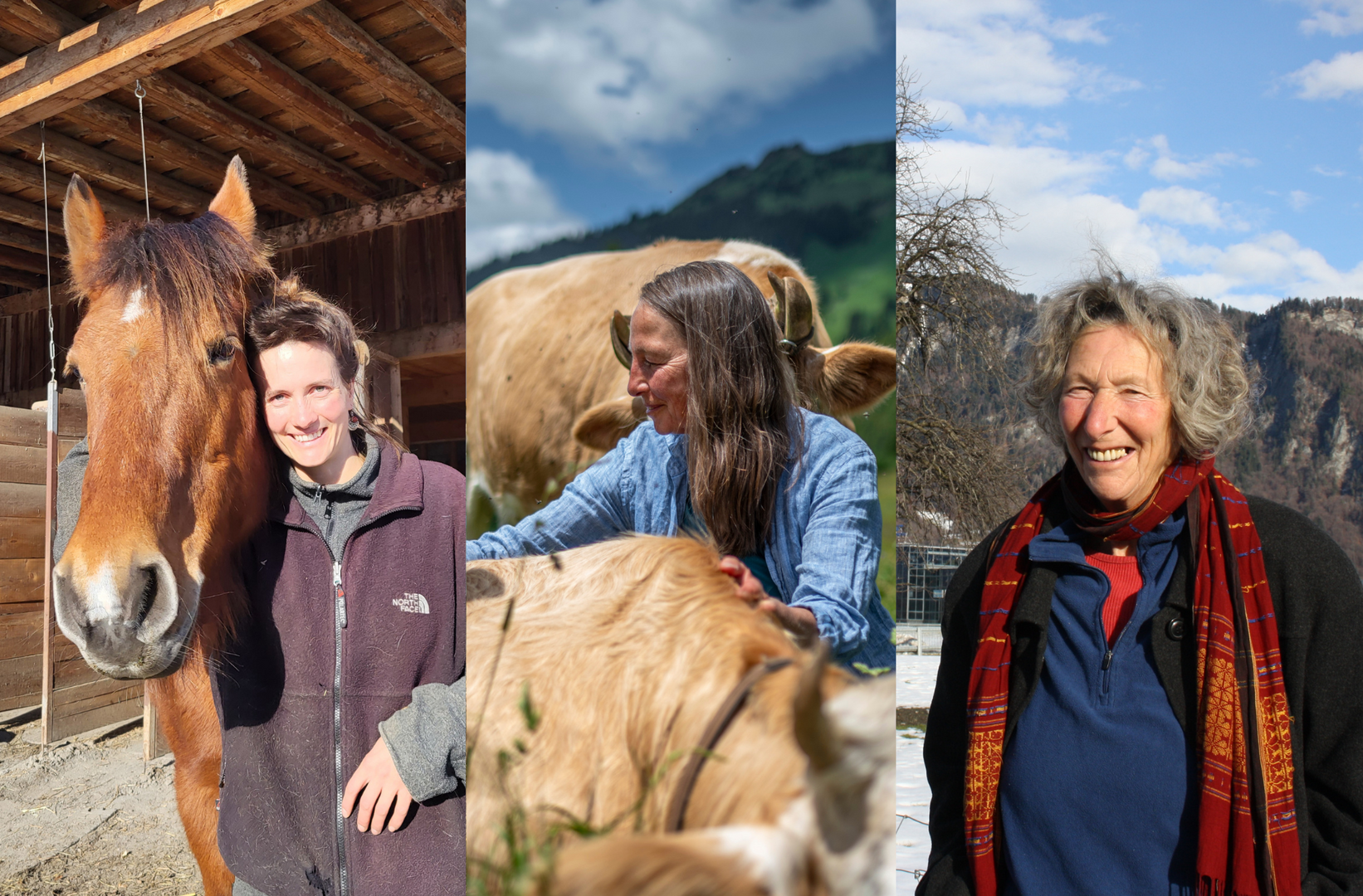 Drei Powerfrauen in einer männerdominierten Landwirtschaft