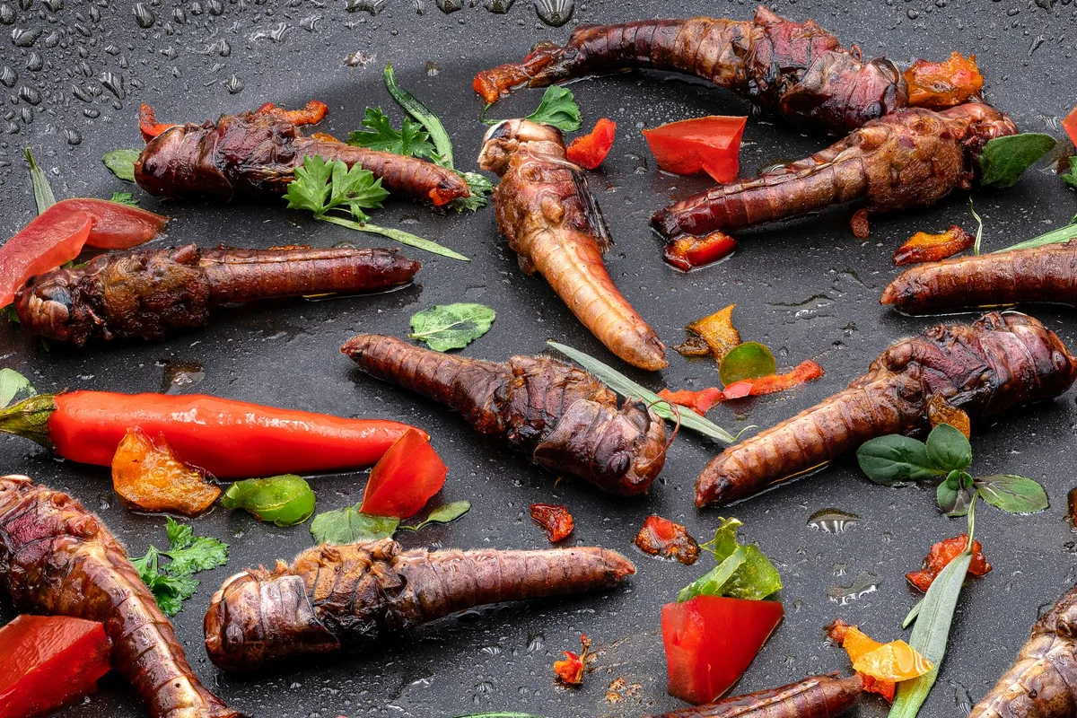 shutterstock_1383825695 Insekten auf dem Teller: Scheitert das Superfood?
