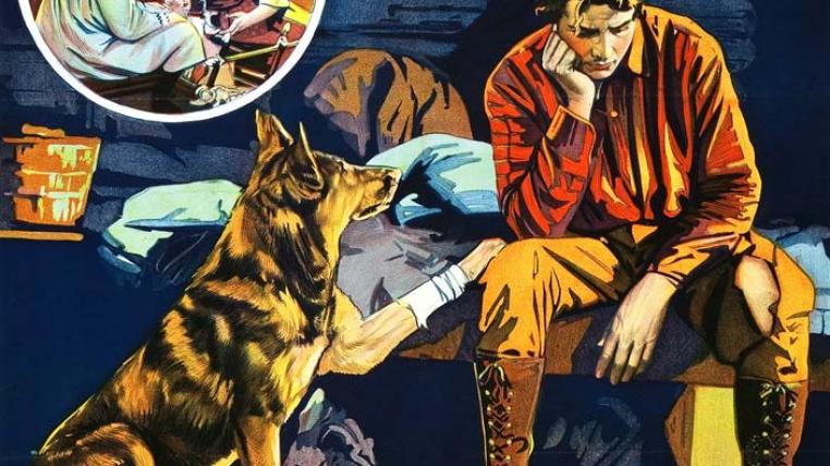 Rin Tin Tin