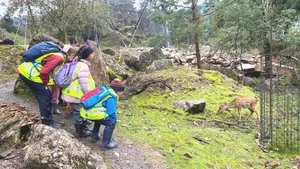 Mit dem «Tierpark-Kindergarten Lauerz» gibt es den ersten öffentlichen Kindergarten in einer zoologischen Einrichtung.