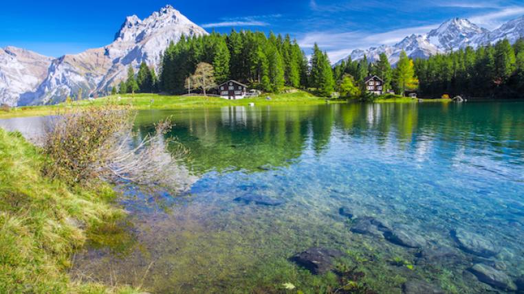 Wald im Kanton Uri