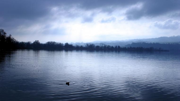 Sempachersee am Morgen