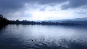 Der Sempachersee ist mit Phosphor belastet.