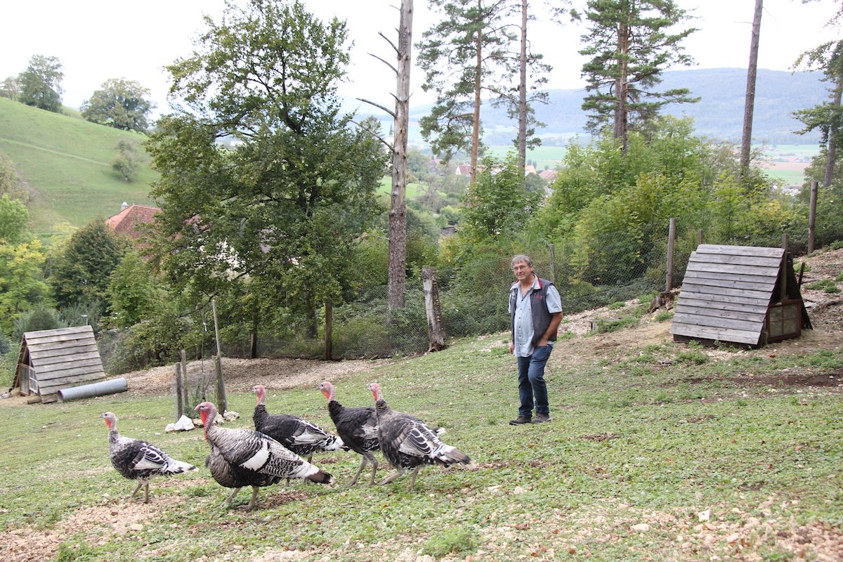 Das Tierparadies von Mervelier