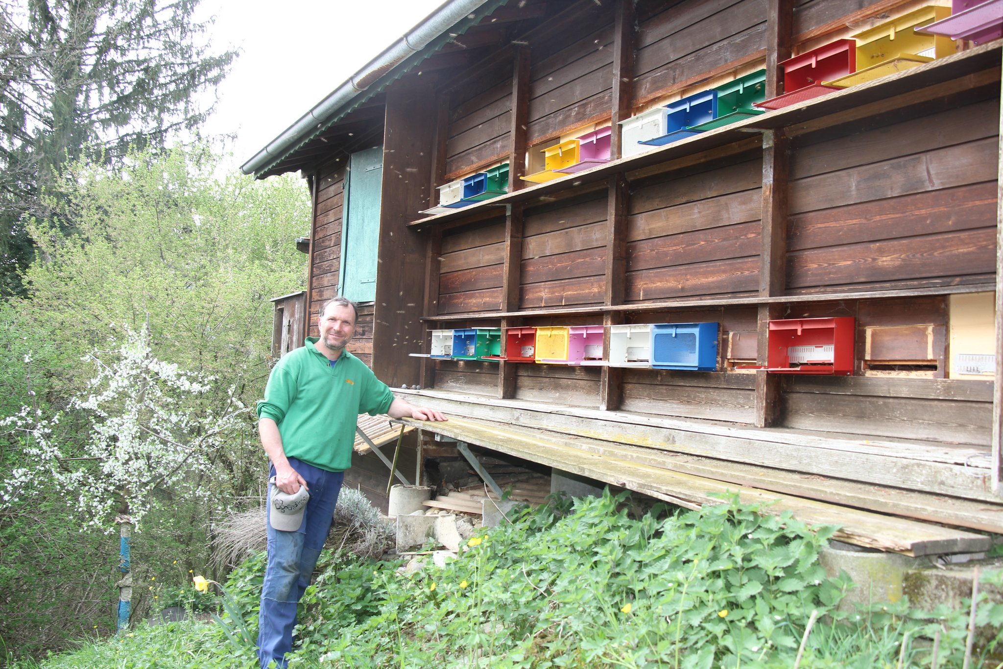Das Leben im Bienenstock
