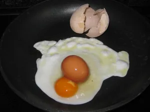 Und hier die Überraschung: Im Riesenei ist ein zweites Ei. Das ist übrigens kein verspäteter Aprilscherz.