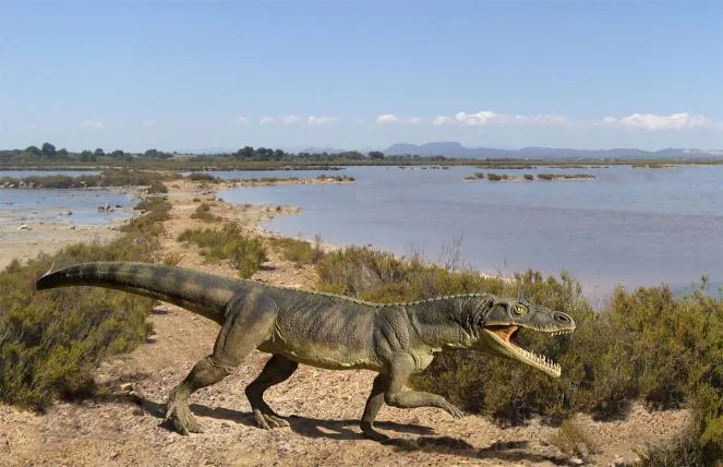 8744c840ae45720a5a6049b1631c130f18807a92 01-Ticinosuchus-Museum-Meride.jpg
