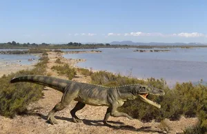 Das Modell des Ticinosuchus ferox erstellte Beat Scheffold mit Hilfe von versteinerten Fussabdrücken. Es ist im Fossilienmuseum Meride TI zu sehen.