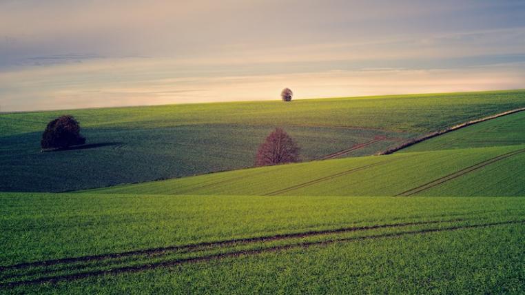 Landwirtschaft
