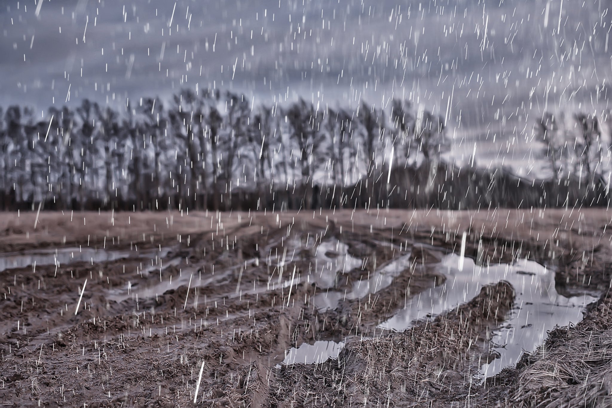 Werden Extremwetter zur Norm?