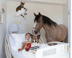 Abessiner-Kater Jonathan und weitere Tiere schenken am Pflegebett im Kinderhospiz Lichtblickhof Trost.