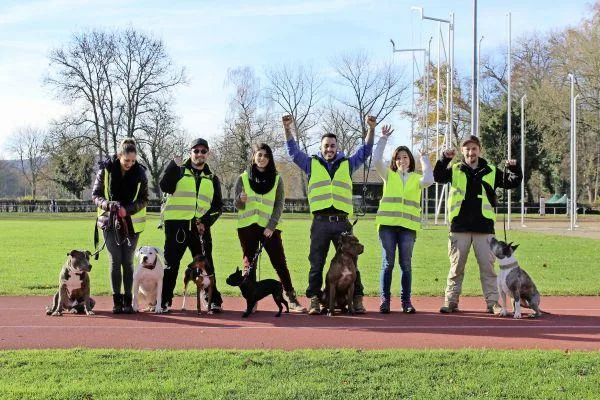a9f06cce579fbdca906fe34592a62301518c5260 18-hunde.JPEG