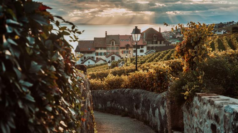 Weinberge von Lavaux
